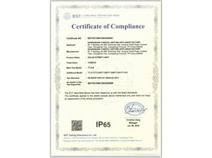 IP65 for SOLAR STREET LIGHT