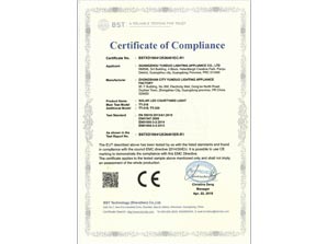 CE for COURTYARD LIGHT