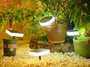 Led garden light-DPD-0544