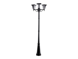 Solar Led Garden Light-TT-516